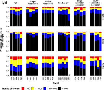 Immunisation of chickens with inactivated and/or infectious H9N2 avian influenza virus leads to differential immune B-cell repertoire development